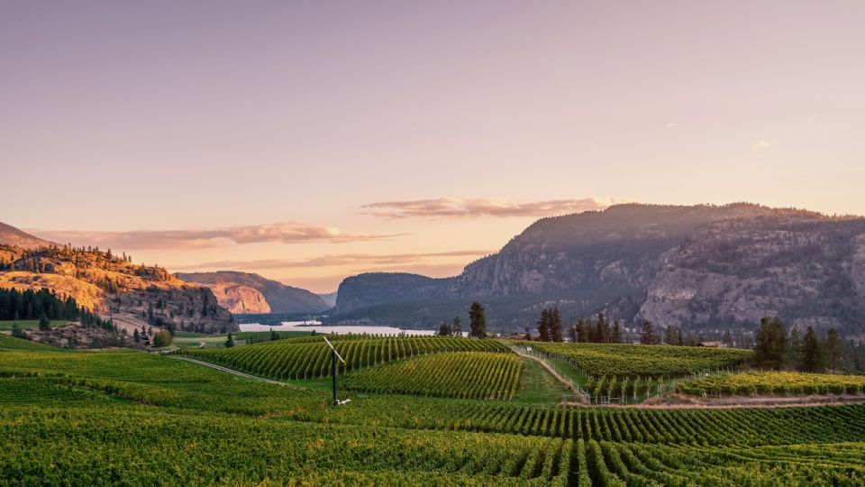 Penticton Wineries Tour