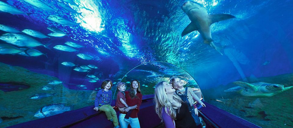 Perth: AQWA Aquarium of Western Australia Entry Tickets - Ticket Price and Cancellation Policy