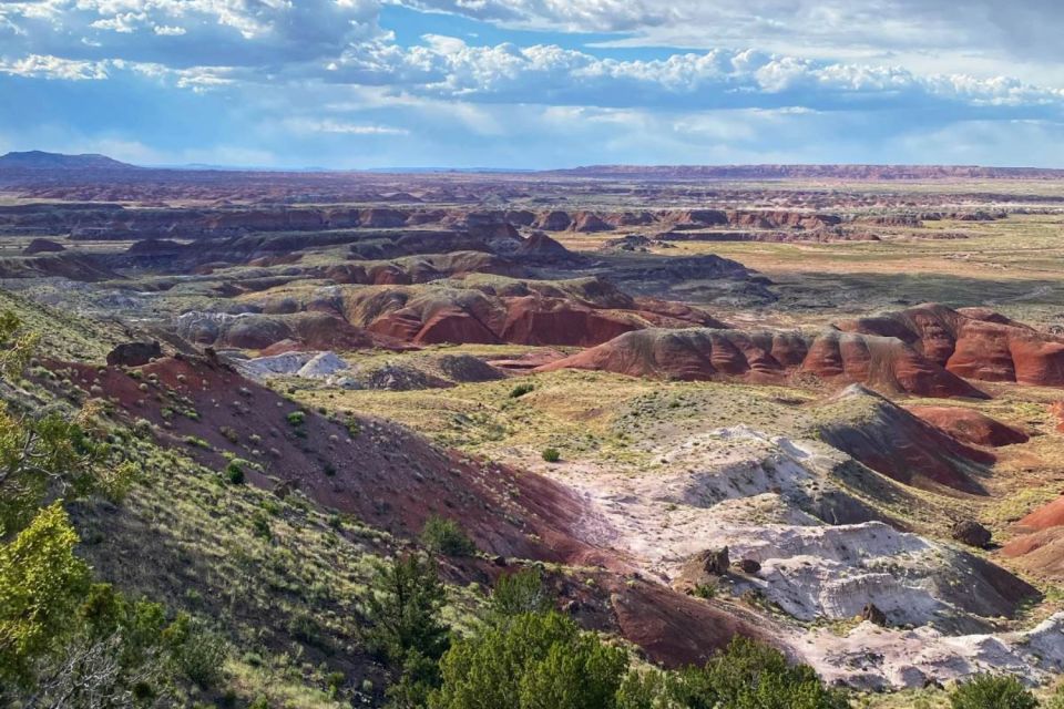 Petrified Forest National Park Self-Guided Audio Tour - Overview of the Tour