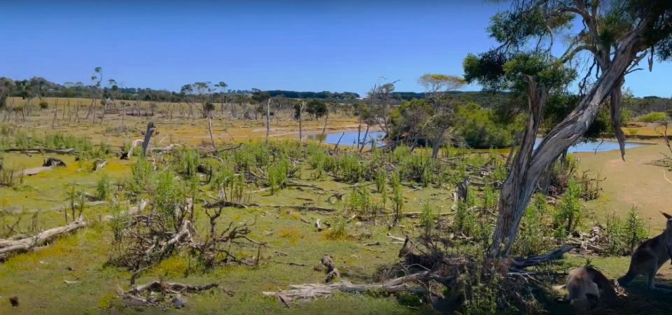 Phillip Island Self Guided Driving Tour