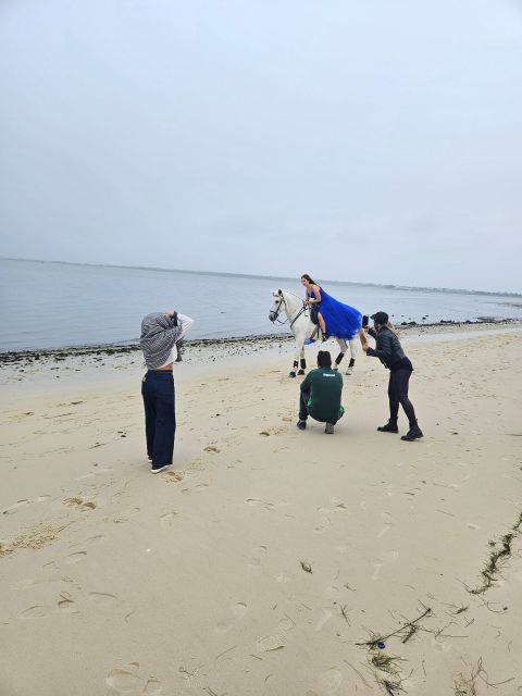 Photo Session With Horses on the Beach or in the Countryside