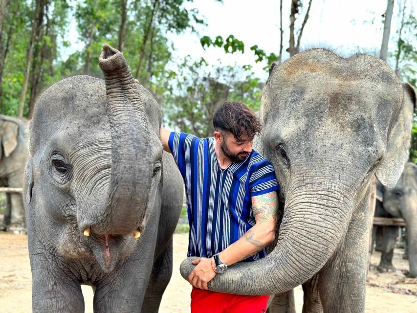 Phuket: Elephant Experience With Lunch Or Dinner And Pickup