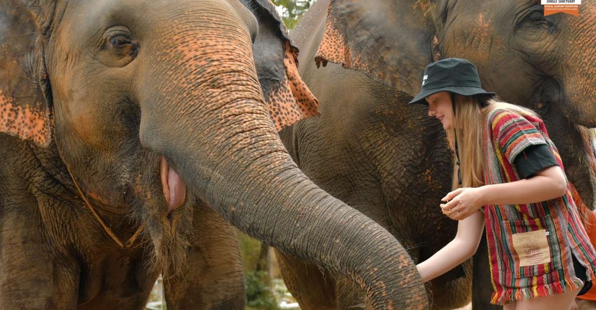 Phuket: Elephant Jungle Sanctuary Ethical Feeding Experience