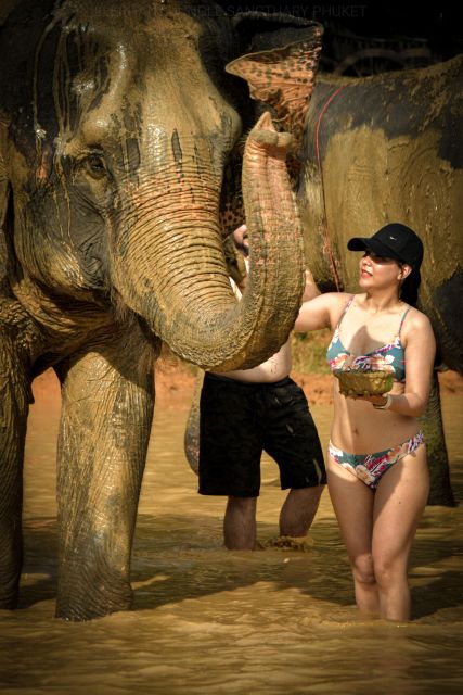 Phuket: Elephant Jungle Sanctuary Half-Day Visit With Meal - Activity Details