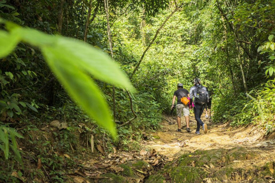 Phuket: Jungle Trekking Experience at Khao Phra Taew