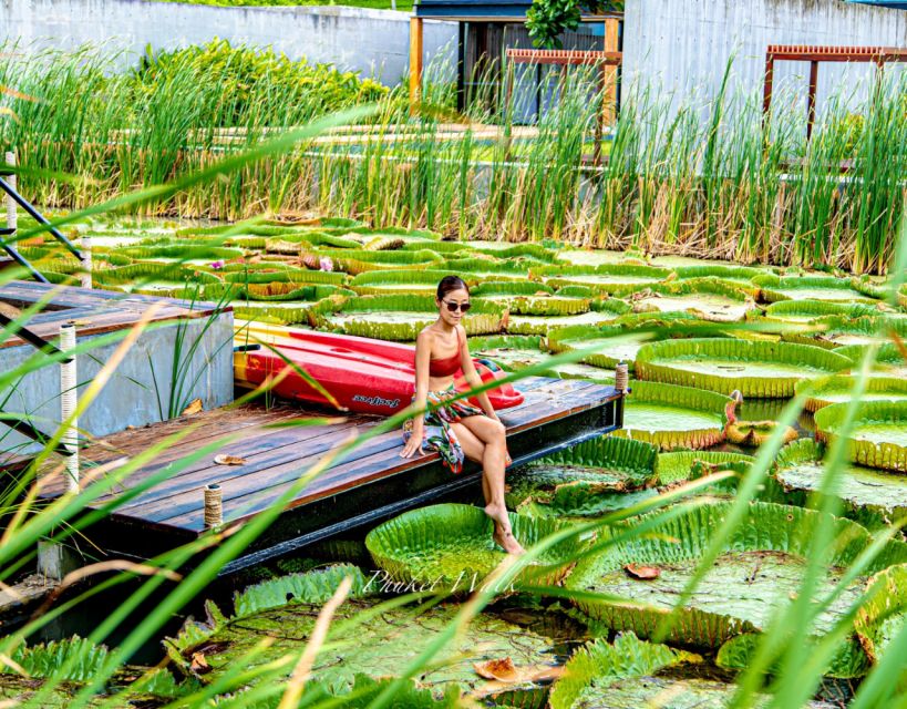 Phuket: Private & All-Inclusive Giant Water Lilies Tour - Tour Overview