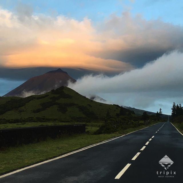 Pico Day Tour: Get to Know Pico Island With a Local Guide | Travel Buddies