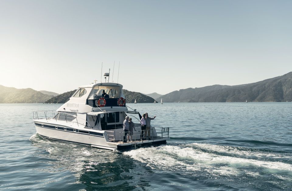 Picton and Marlborough Sounds: Seafood Odyssea Cruise