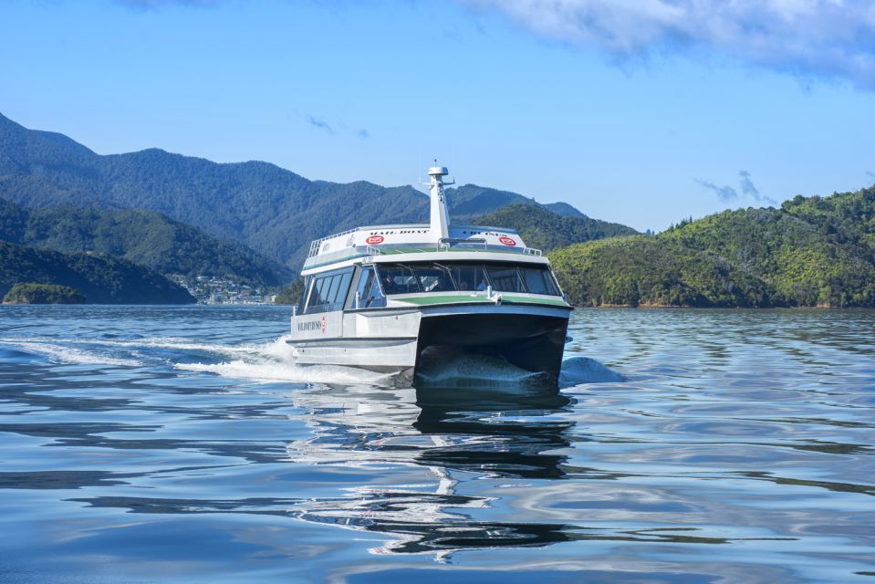 Picton: Queen Charlotte Sounds Sightseeing Cruise