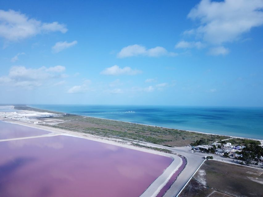 Playa Del Carmen/Cancún: Rio Lagartos & Las Coloradas Tour