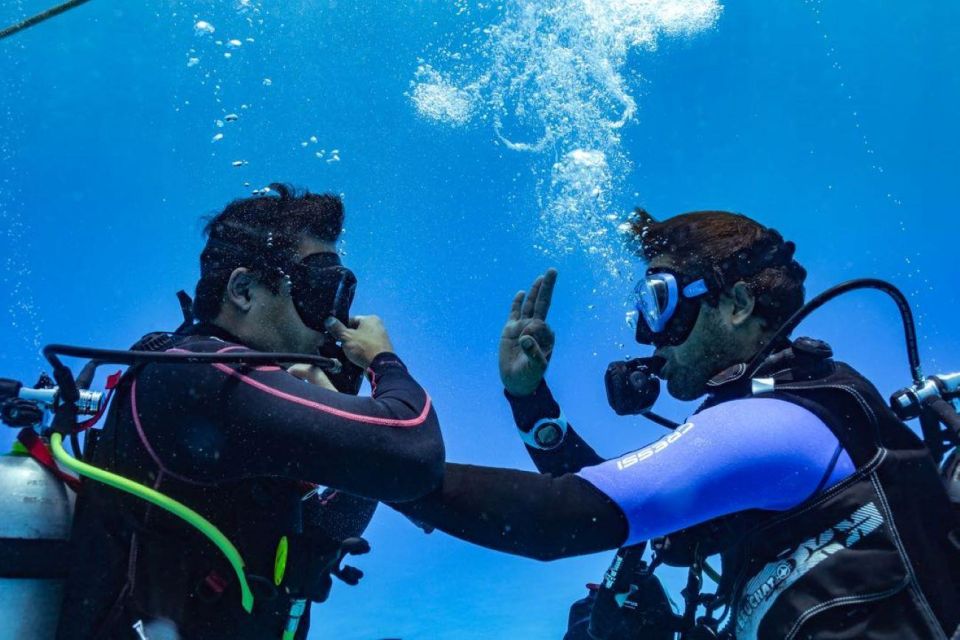 Playa Del Carmen: Fun Dive Experience for Certified Divers
