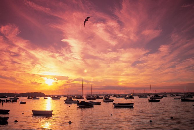 Poole Harbour and Island Cruise From Poole