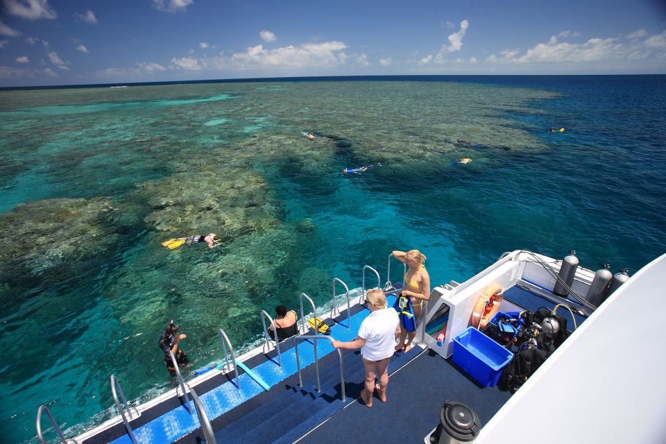 Port Douglas: Outer Barrier Reef Snorkel Cruise & Transfer