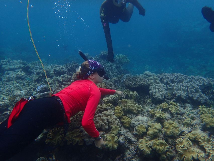 Port Douglas: Outer Great Barrier Reef Snorkeling Cruise