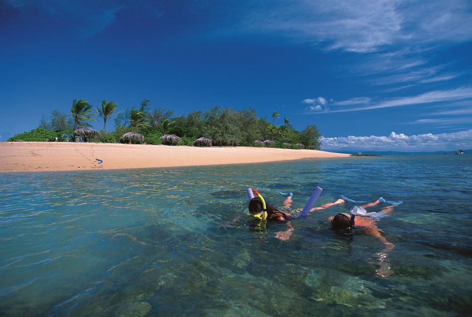 Port Douglas: Reef & Low Isles Cruise on Luxury Catamaran