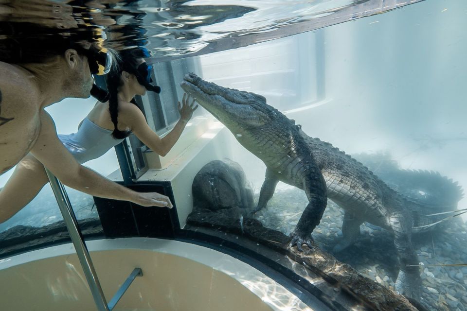 Port Douglas: Wildlife Habitat Swim With Crocodiles