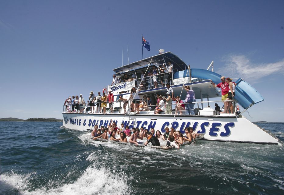 Port Stephens: Dolphin Watch Cruise With Swimming & Slides