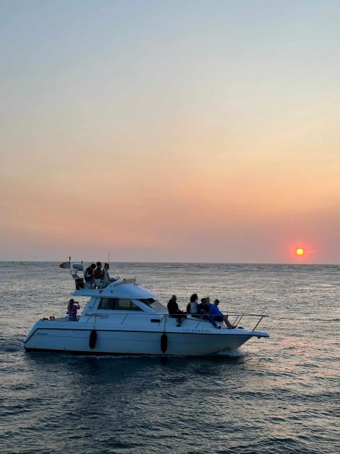 Porto: 6 Bridges City Cruise With Sunset Option