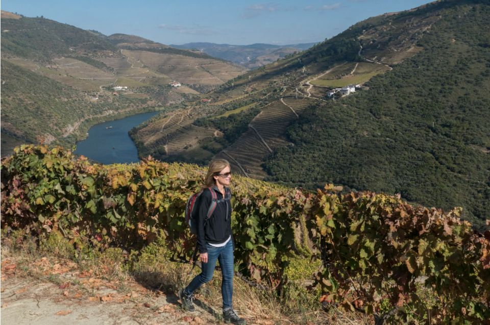 Porto: Douro Valley Day Trip With Wine Tasting and Lunch