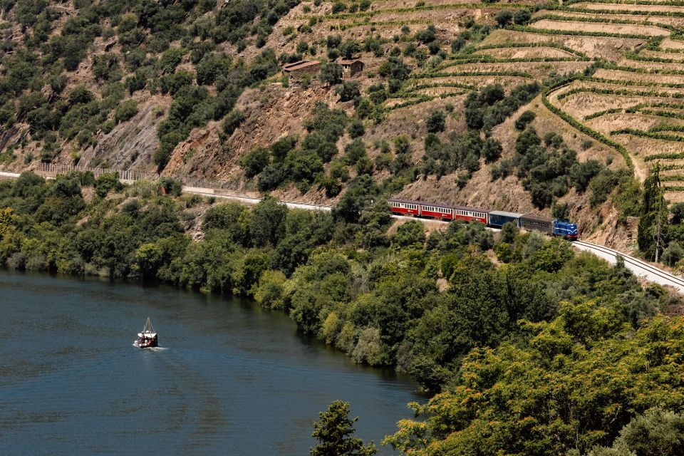 Porto: Douro Valley Full-Day Boat, Train, and Lunch Tour