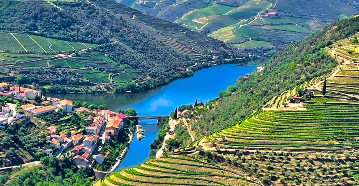 Porto: Douro Valley Private Tour 2 Vineyards & River Cruise