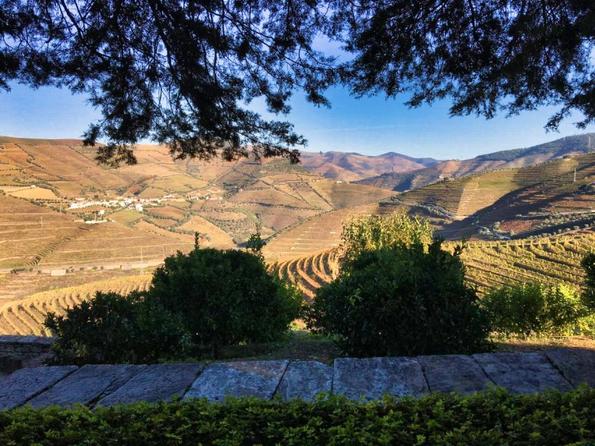 Porto: Douro Valley Tour With 3 Wineries & Lunch - Tour Overview