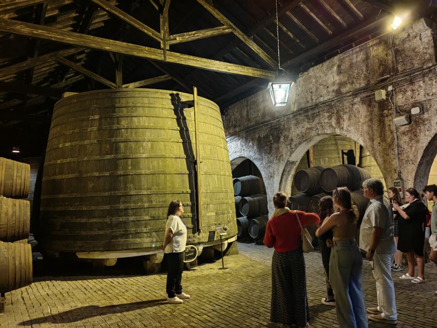 Porto Private Classic Car Tour