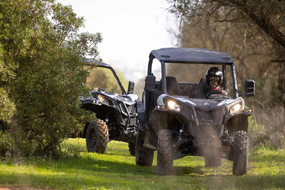 Porto Santo: 90 Minutes Off-Road Buggy Tour - Activity Overview