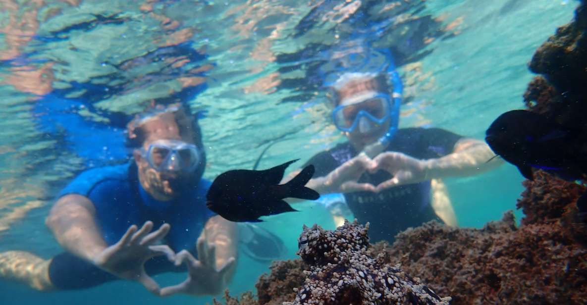 Porto Santo: Snorkeling Tour