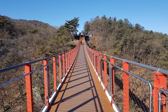 Premium Private DMZ Tour & (Suspension Bridge or N-Tower) Include Lunch - Tour Overview