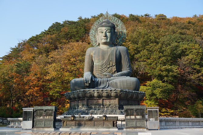 [Premium Private Tour] Mt Seorak & East Sea or Nami Island From Seoul