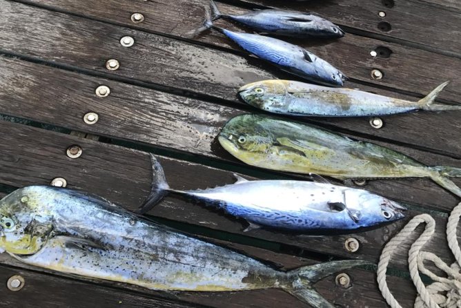 Private Afternoon Fishing Charter in Aruba