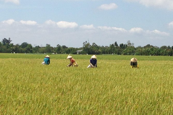 Private Authentic Mekong River Full Day Trip – Non Touristic Mekong Delta