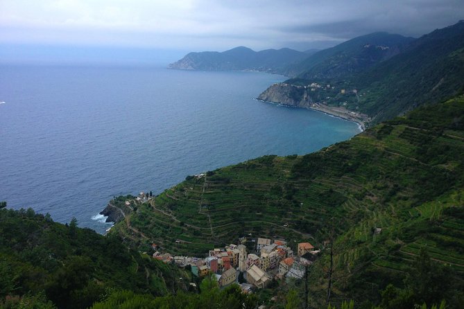 Private Cinque Terre Trek & Tour