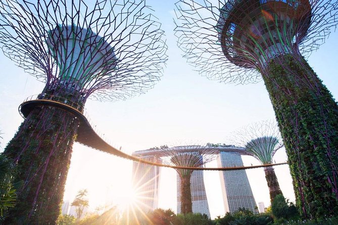 Private Customised Singapore Walking Tour