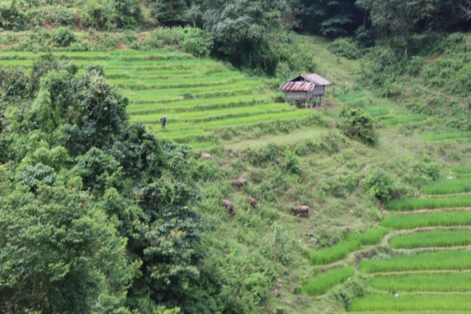 Private Day Trip Doi Inthanon, Trekking, Elephant Santuary - Doi Inthanon National Park