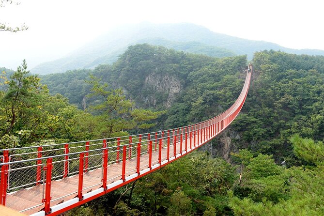 Private DMZ Peace Tour: 3rd Invasion Tunnel(Monorail) and Suspension Bridge