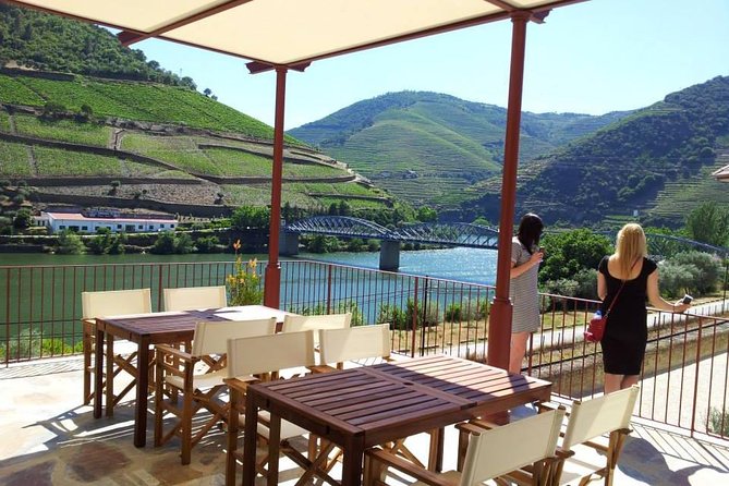 Private Douro Valley Wine Tour: 2 Wine Estates, Lunch and Cruise