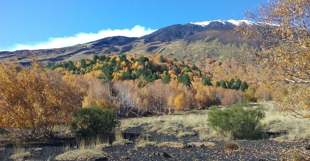 Private Etna Tour From Taormina - Tour Details