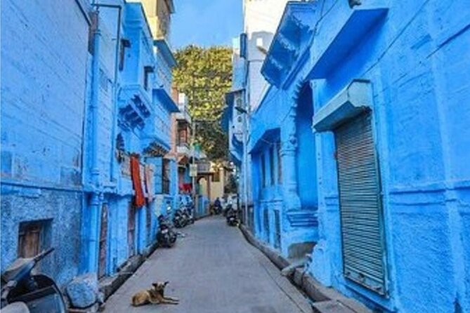 Private Jodhpur Blue City Tour With Private Tour Guide