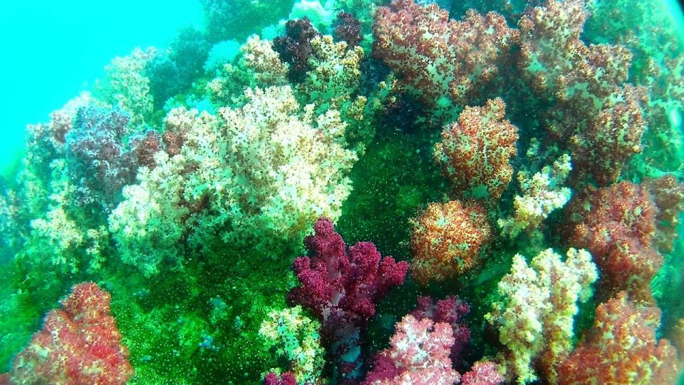 Private Lipe Snorkeling Outside Zone By Long Tail Boat