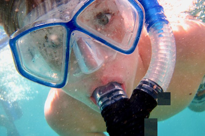 Private Looe Key Snorkel From Big Pine Key