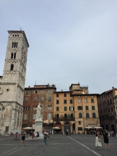 Private Lucca Wine Tour: 2 Winery With Lunch