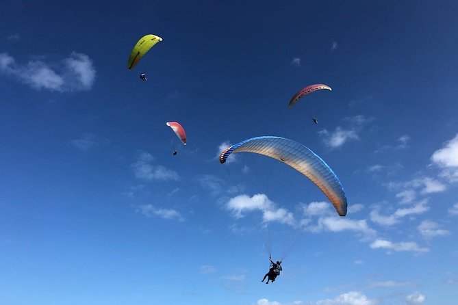 Private Tandem Paragliding Flight in Bizkaia