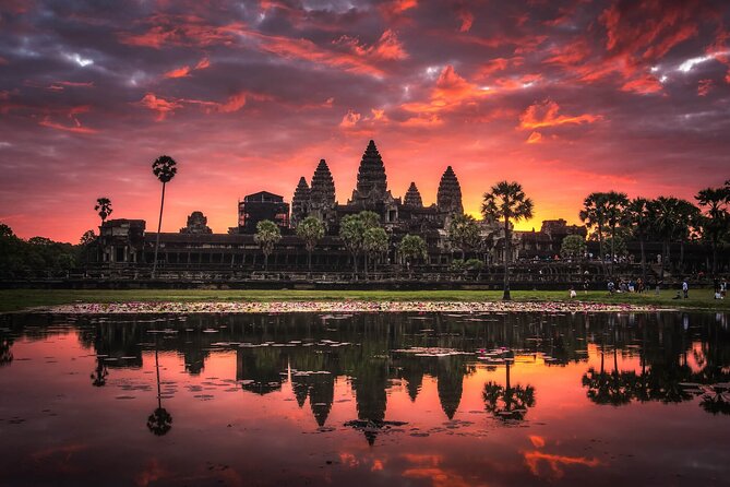 Private Temples Guided Tour (Angkor Wat, Ta Prom & Angkor Thom)