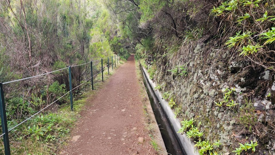 Private Tour : 25 Fontes Levada Hike