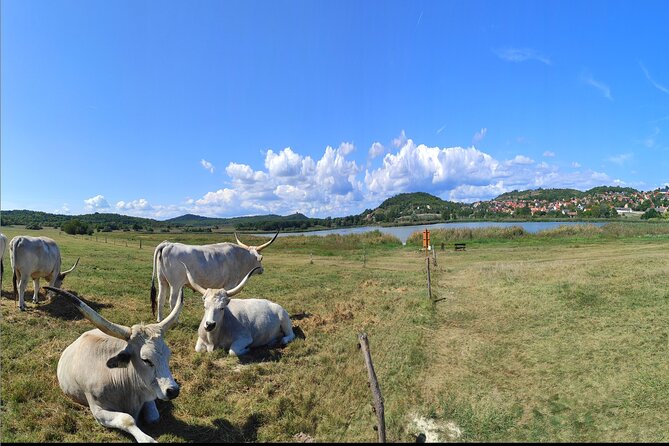 Private Tour From Budapest to a Top Hidden Treasure Region of Europe: Lake Balaton