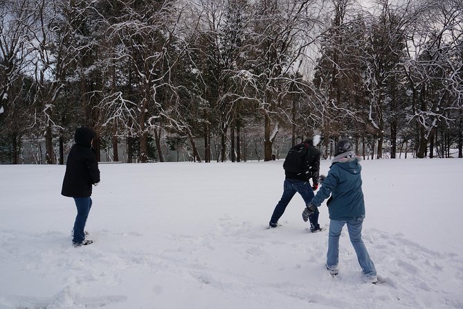 Private Tour Nami Island With Petite France And/Or the Garden of Morning Calm