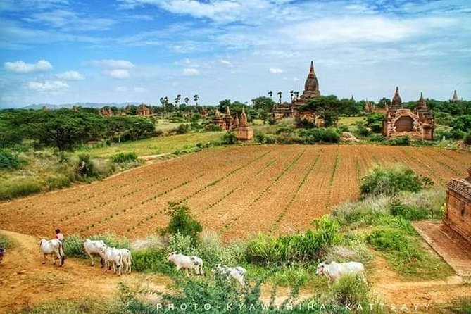 Private Transfer Of Mandalay To Bagan