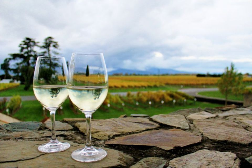 Progressive Wine & Gourmet Trail From Blenheim or Picton